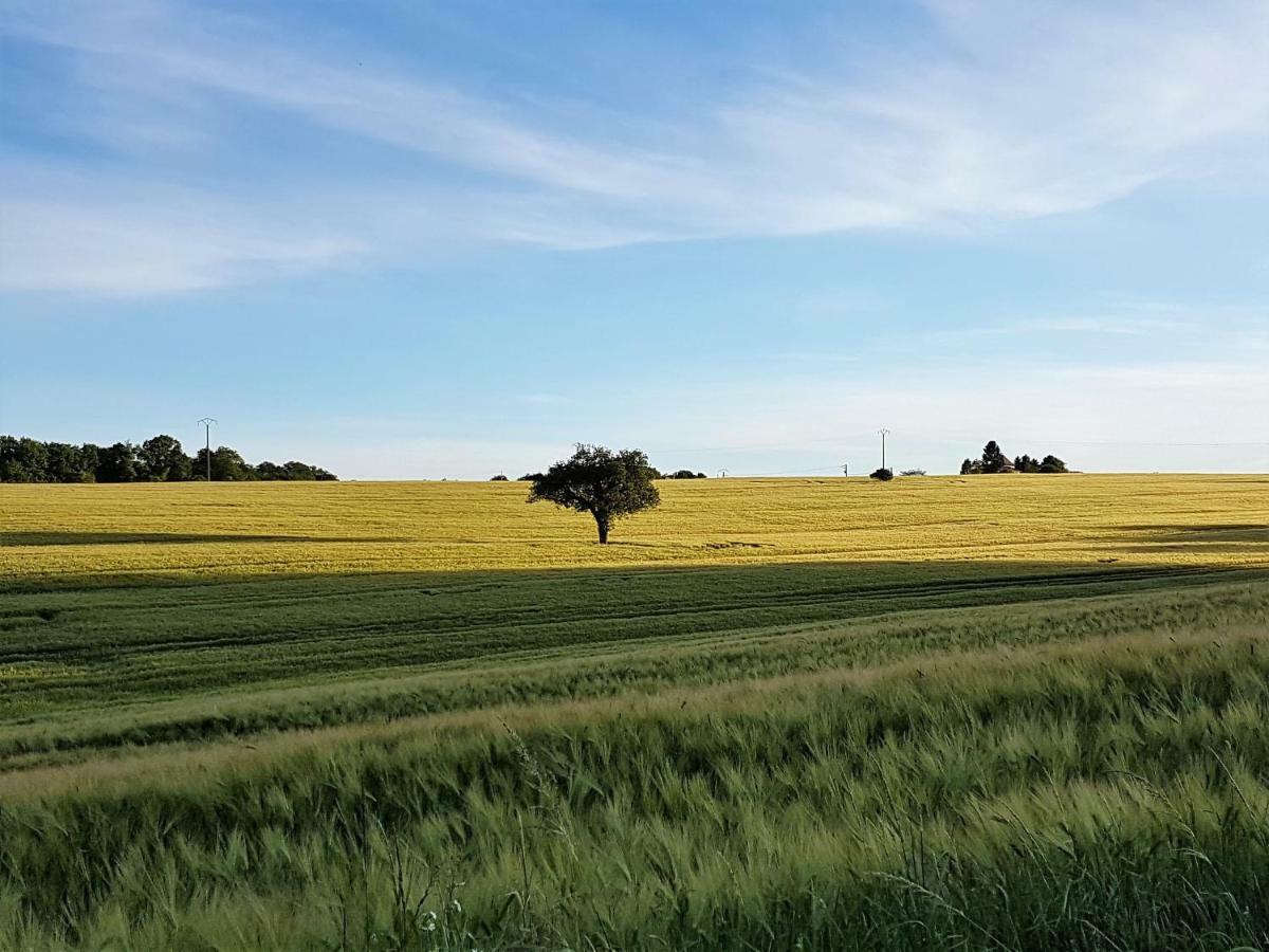 Langlade Estate Montboyer Exterior foto